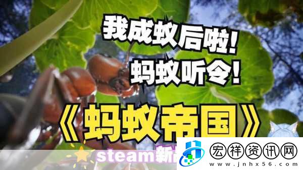 獨(dú)家揭秘Steam新寵Ant