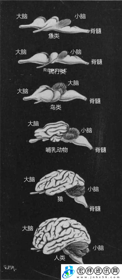 探索星界邊境