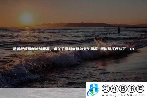 tom湯姆叔叔最新地域網(wǎng)名怎么取