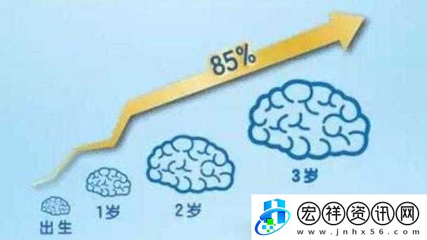 食肉老師攝取報(bào)告