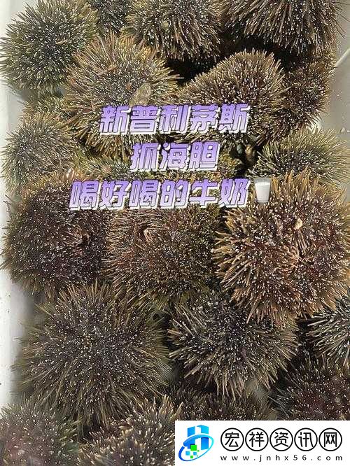 希望你的鮑魚里沒有別人的牛奶