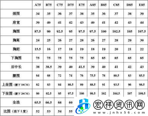 歐洲多尺碼3538