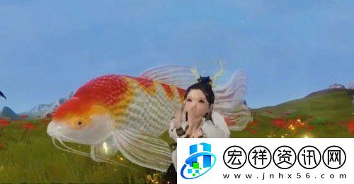 妄想山海錦鯉魚(yú)苗在哪